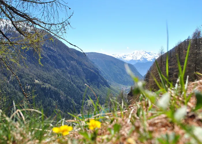 Millefiori- Alpine Event Hotel 2*