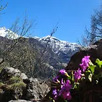 Millefiori- Alpine Event 酒店 瓦托内切