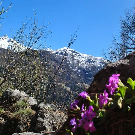 Millefiori- Alpine Event Hotell Valtournenche