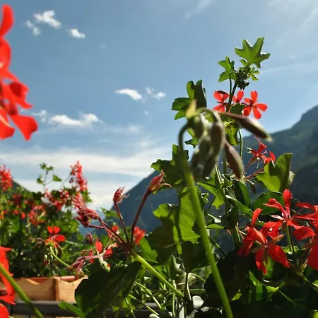 Millefiori- Alpine Event Hotell Valtournenche