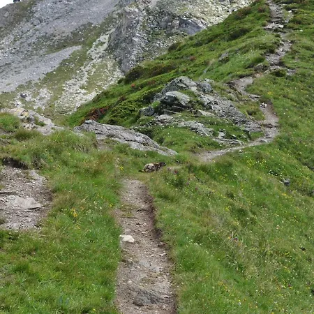 Millefiori- Alpine Event Hotell Valtournenche