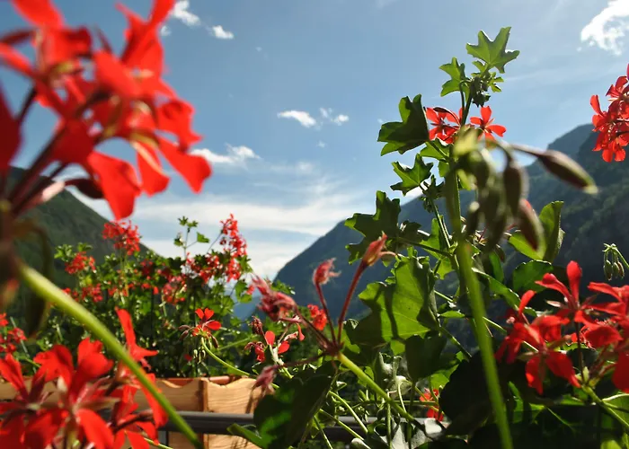 Millefiori- Alpine Event Hotel Valtournenche