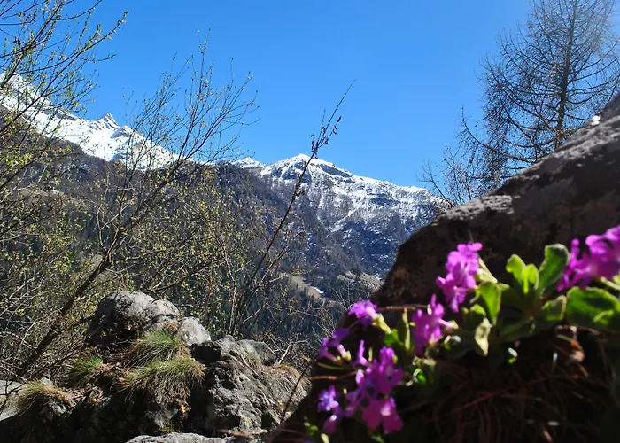 Millefiori- Alpine Event Hotel Valtournenche