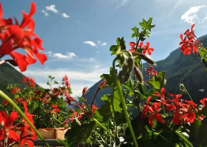 Millefiori- Alpine Event Hotel Valtournenche