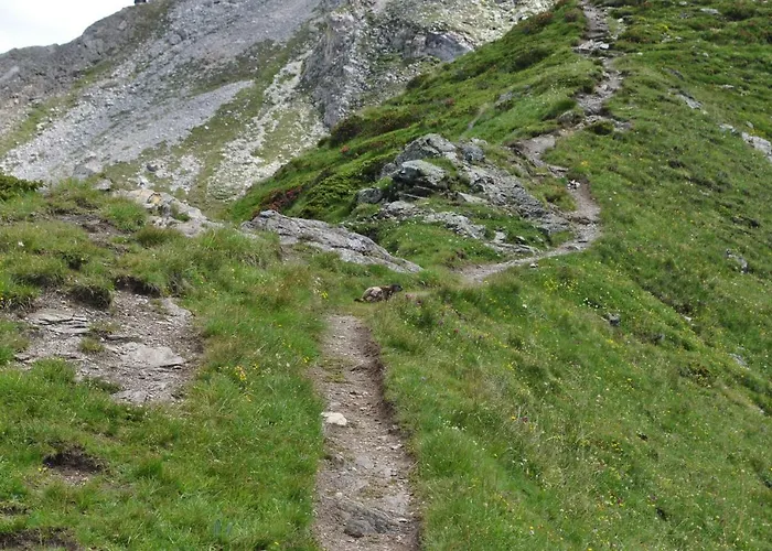 Millefiori- Alpine Event Hotel Valtournenche